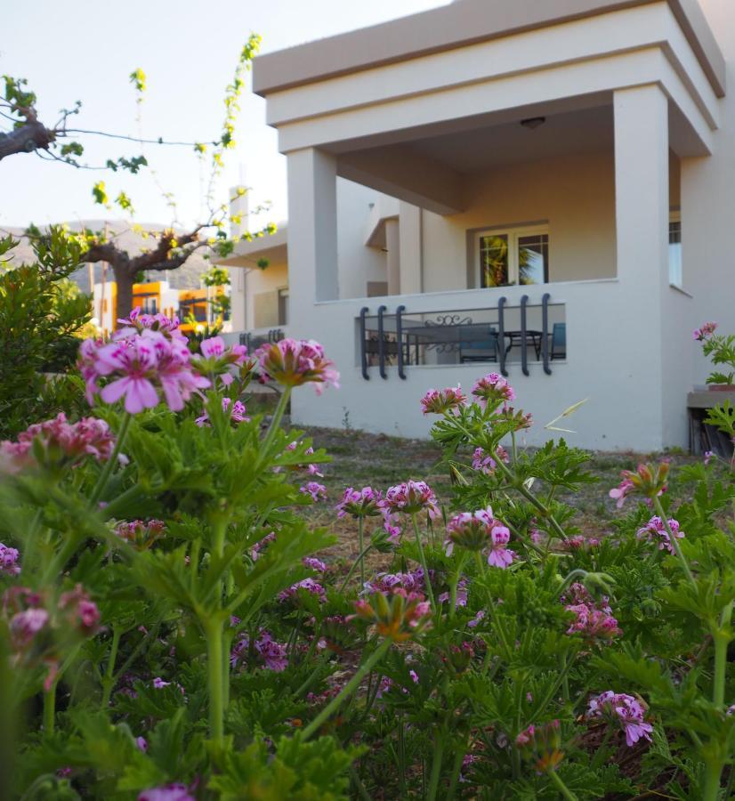 Olive House Villa Malia  Exterior photo