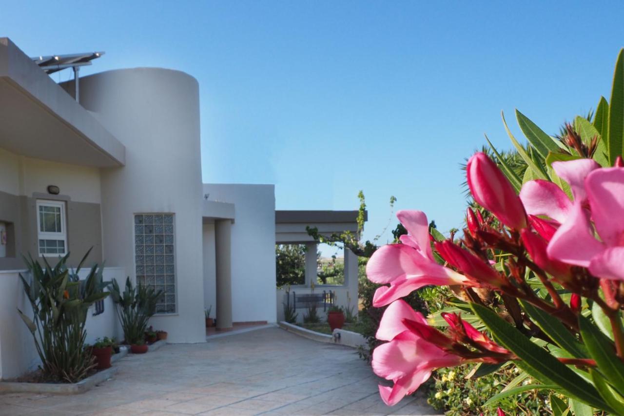 Olive House Villa Malia  Exterior photo