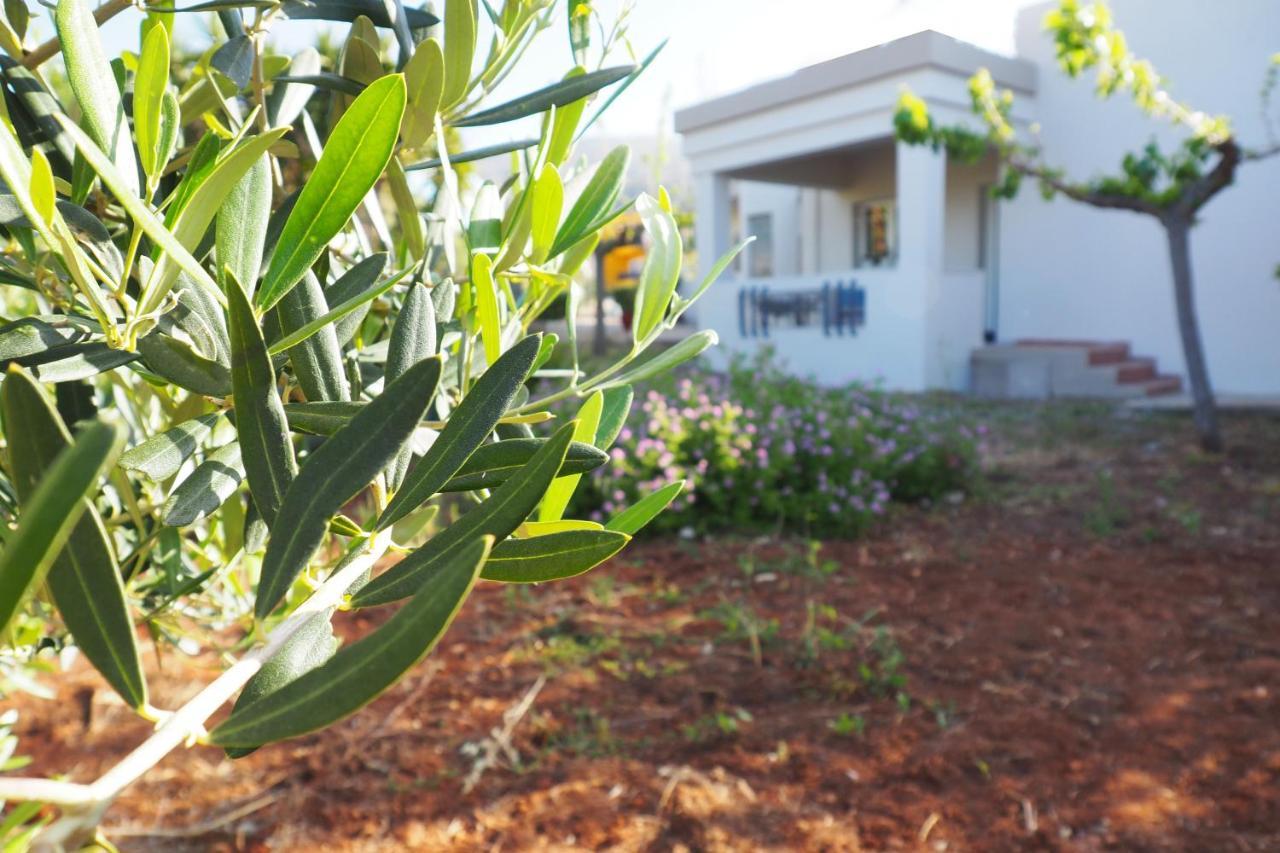 Olive House Villa Malia  Exterior photo